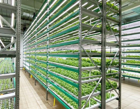 ifarm9