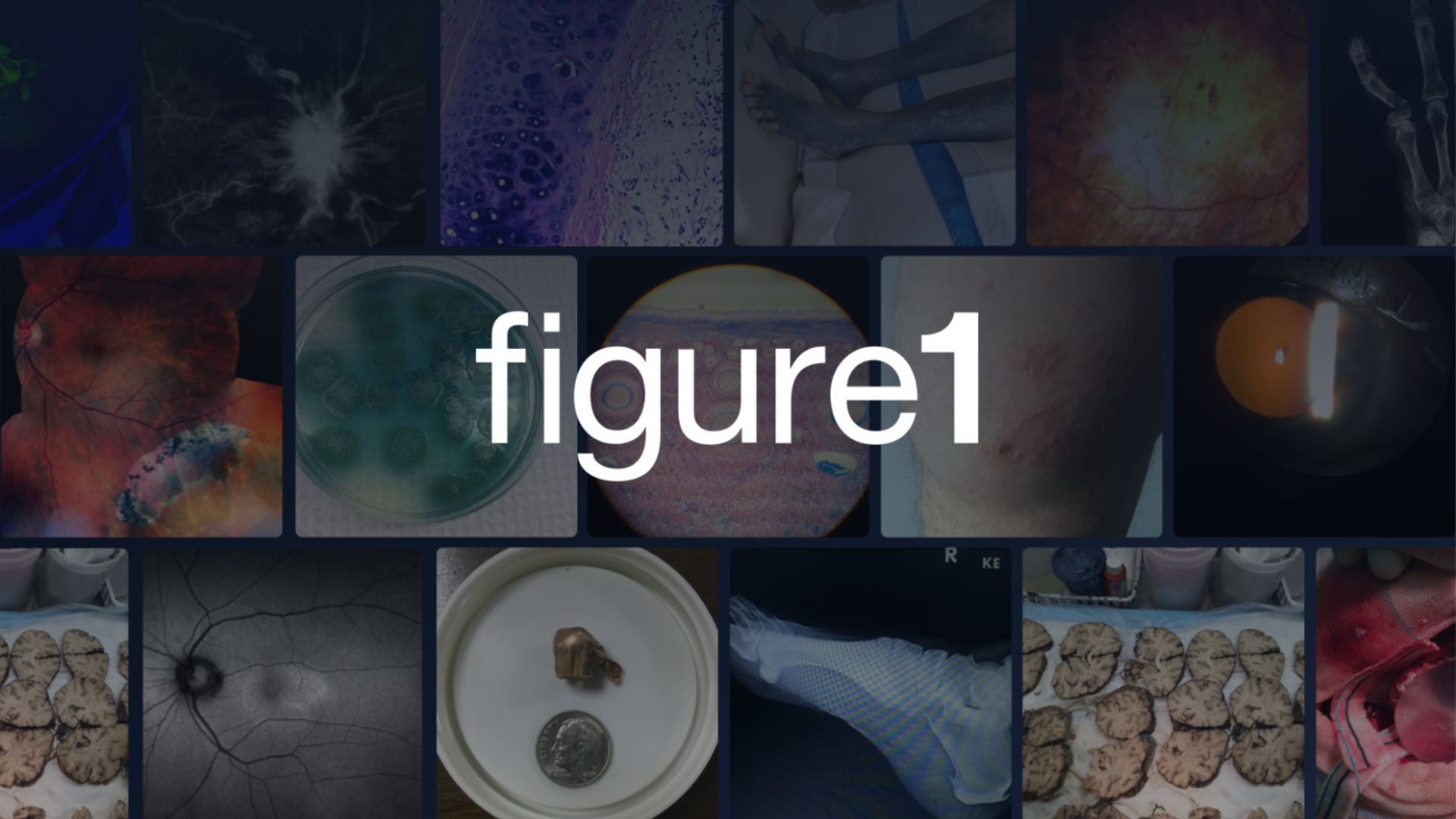 Figure 1 Gains Global Recognition for Improving the Future of Healthcare